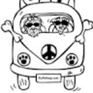 Meet your Posher, Sherri at